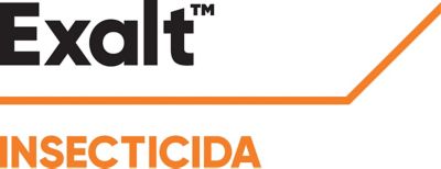 Exalt™
