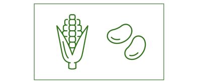 Mais-Bohnen-Mischung