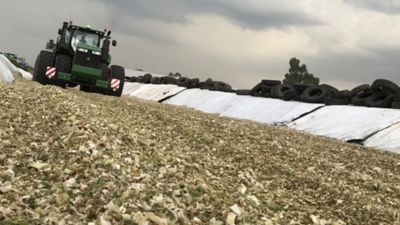 Maize_Silage_Header.jpg