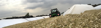 Maize_Silage_Header.jpg