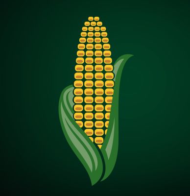 Majs - 2383 x 2458.png