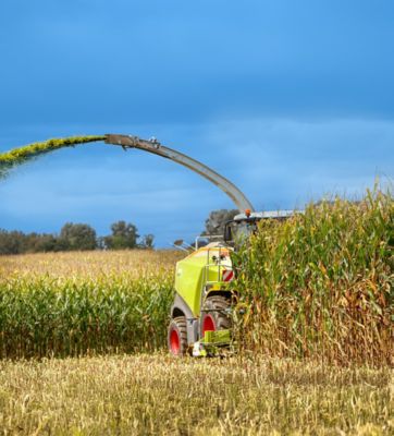 SILA-BAC® silokindlustuslisandid