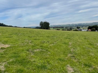 After Photos of Paddock 1