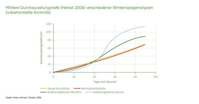 Maximus-Hybriden Stickstoffeffizienz 
