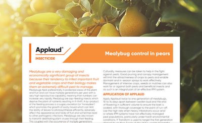 Applaud - Mealybug Control in Pears