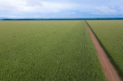 Erschließung mehr Bodenvolumen