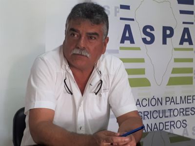 Miguel Martín Pérez, Presidente de ASAP