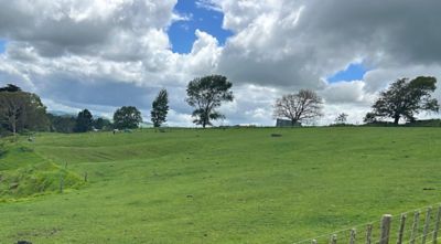 A follow up spray of GrassMaster will target any autumn shoots.