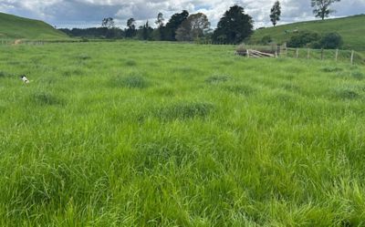 After - November 2025