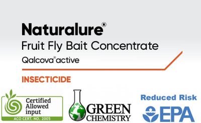 Naturalure Fruit Fly Bait Concentrate Qalcova active Insecticide