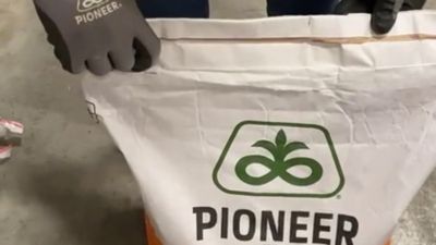 Nieuwe verpakking Pioneer maiszaden