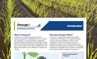 Omsugo P - introductory technote