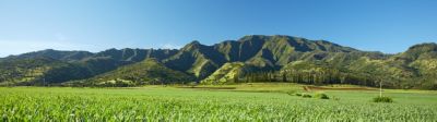 Landscape crop closeup with Hills in Distance