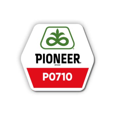 Pioneer