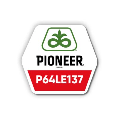 Pioneer