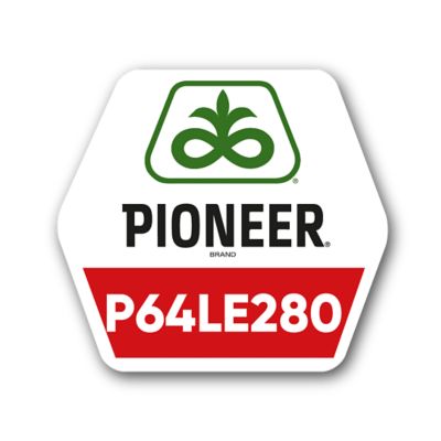Pioneer logo