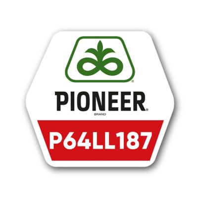 Pioneer logo