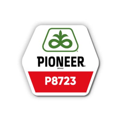 Pioneer