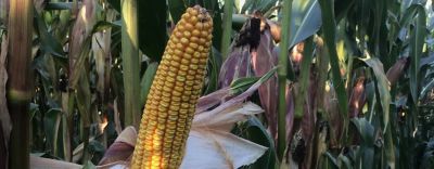 P8888pressbackgroundimage