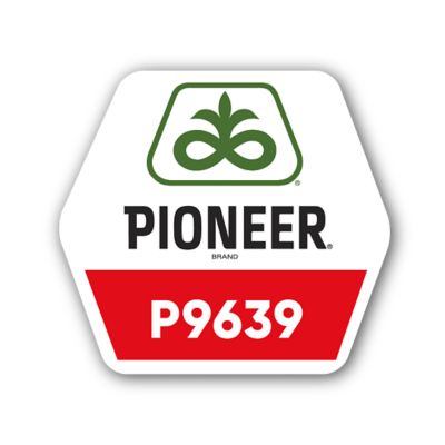 Pioneer