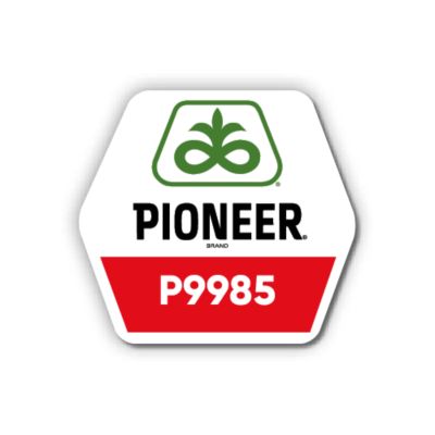 Pioneer