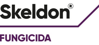 Logo Skeldon