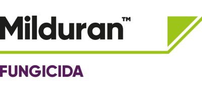 Logo Milduran