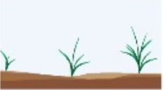 Tamang dosis at tamang timing