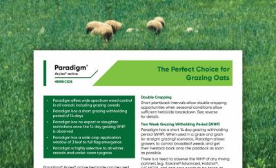 Paradigm - Grazing Oats