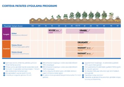 patates-ilac-programi