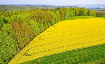 colorful farm field aerial view