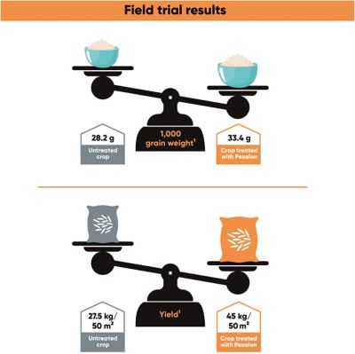 Pexalon-scale_Infographic