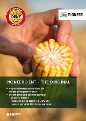 Pioneer Brochure BE 2022