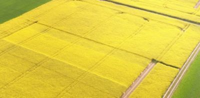 Pioneer PACTS® - Versuchsergebnisse