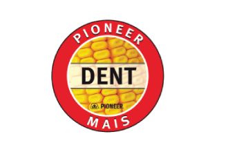 Pioneer Dent logo