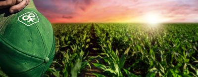 Aushilfe für die Maisaussaat