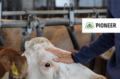 Siliermittelbroschuere