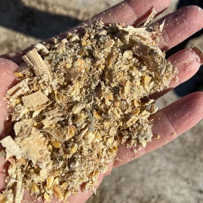 Pioneer_maispitten_in_de_mest