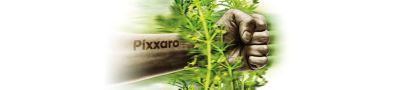 Pixxaro