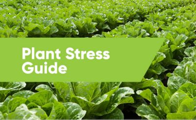 Plant Stress Guide