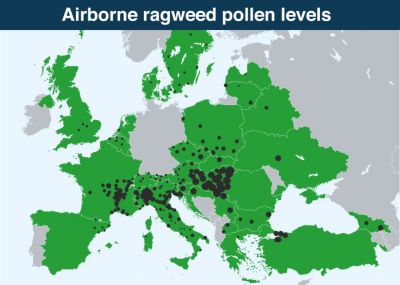 Pollen_Graphic_v03