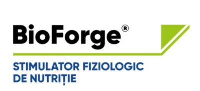 Logo Bioforge