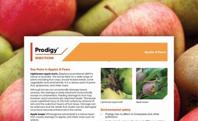 Prodigy Apples and Pears Tech Manual