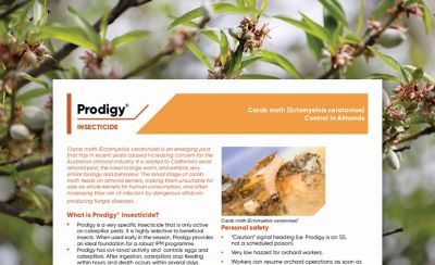 Prodigy - Carob Moth Control in Almonds