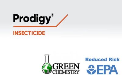 Prodigy Insecticide