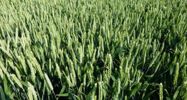 Product Genius Hero Image Mobile