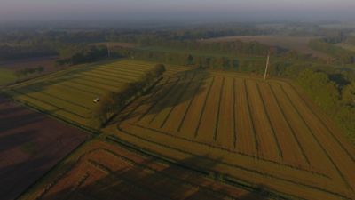 Proef Groeikracht III