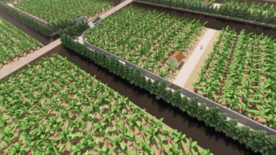 Proyecto recuperación 217 hectáreas sepultadas ASPA