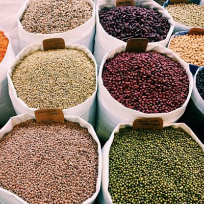 Pulse_crops_betty-subrizi-3OqOUrJBgZU-unsplash_square