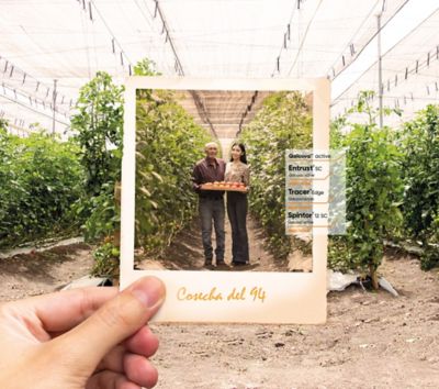 Progresando a tu lado ayer, hoy y mañana